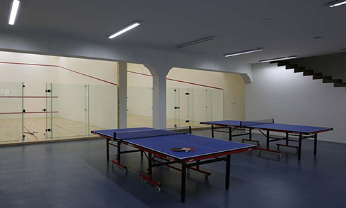 TABLE TENNIS