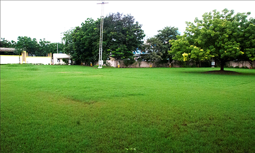 PARTY LAWNS